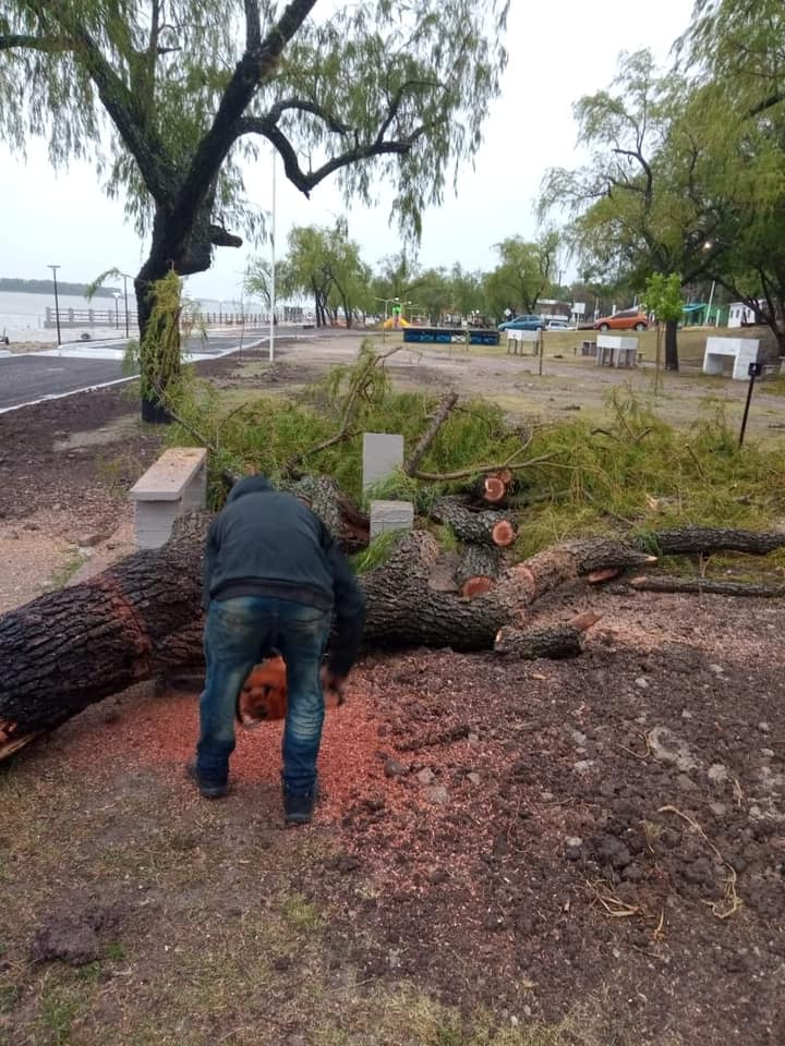 243155022 400213081479997 3020307461967806572 n