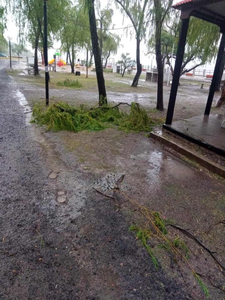 243182364 400213041480001 3064207903923901105 n