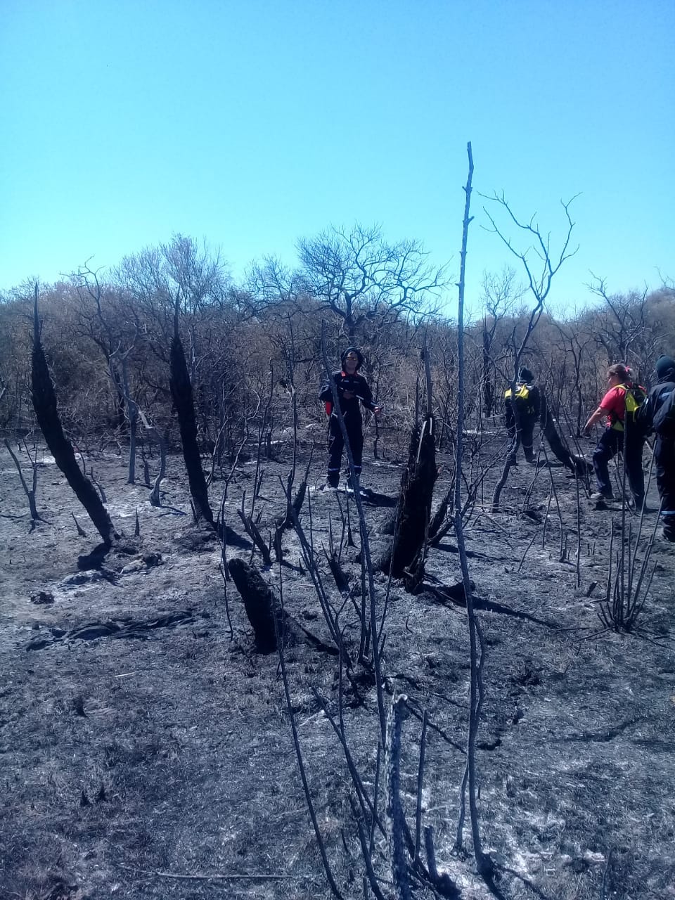 270937252 433520445134842 801888297530934256 n