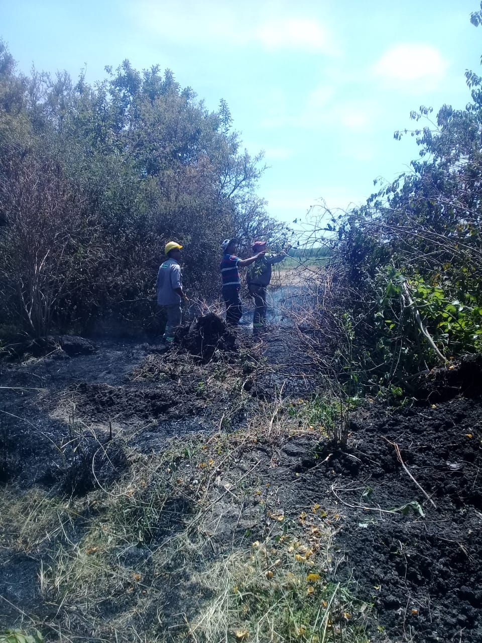 271551340 436828548137365 8591367577834933175 n