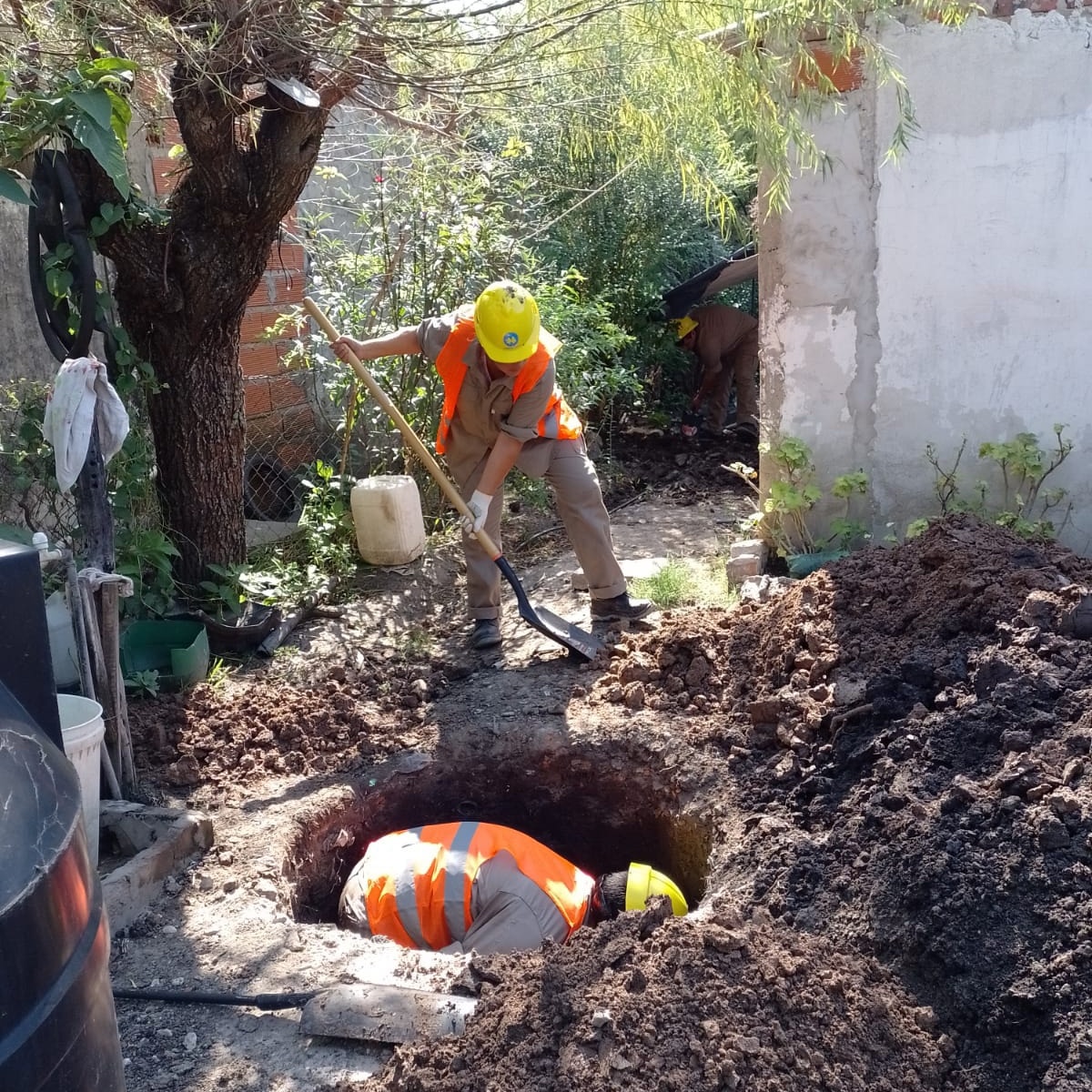 277799544 351490353689495 4833052274939906541 n