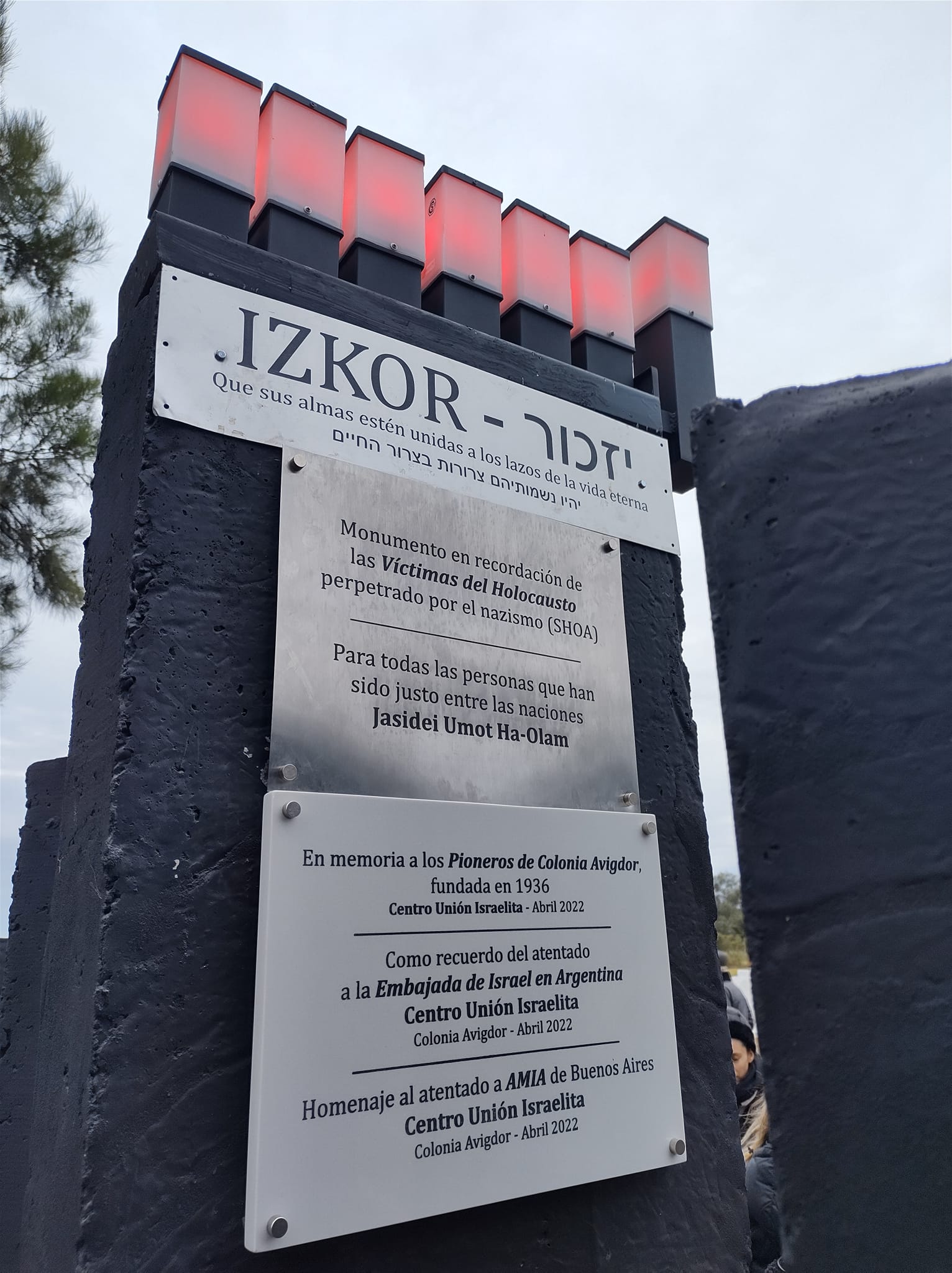 289003322 561745418657124 2090782815171256939 n