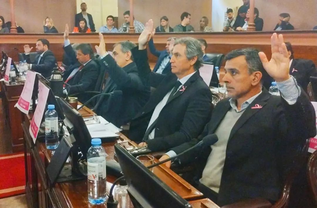 310342785 501655111973879 8038446887983893323 n