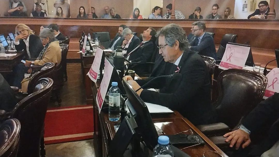 310404067 501655118640545 4711031845579108758 n