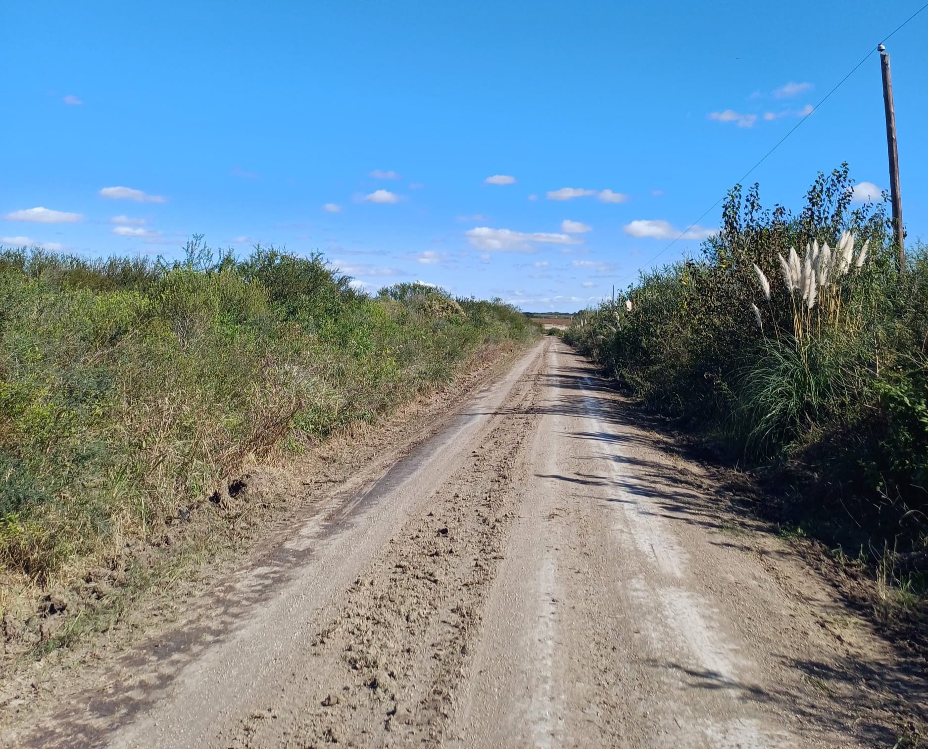 436241632 750888520565762 2015121958126010288 n