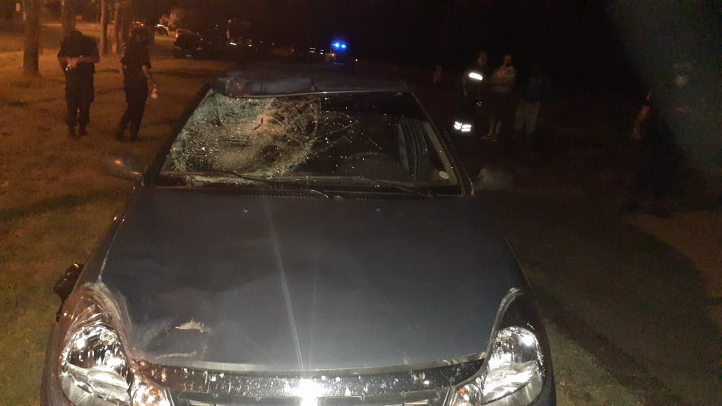 Autoparabrisasbovril