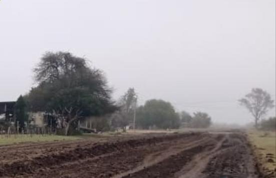 AvenidaHoffmanSanGustavo