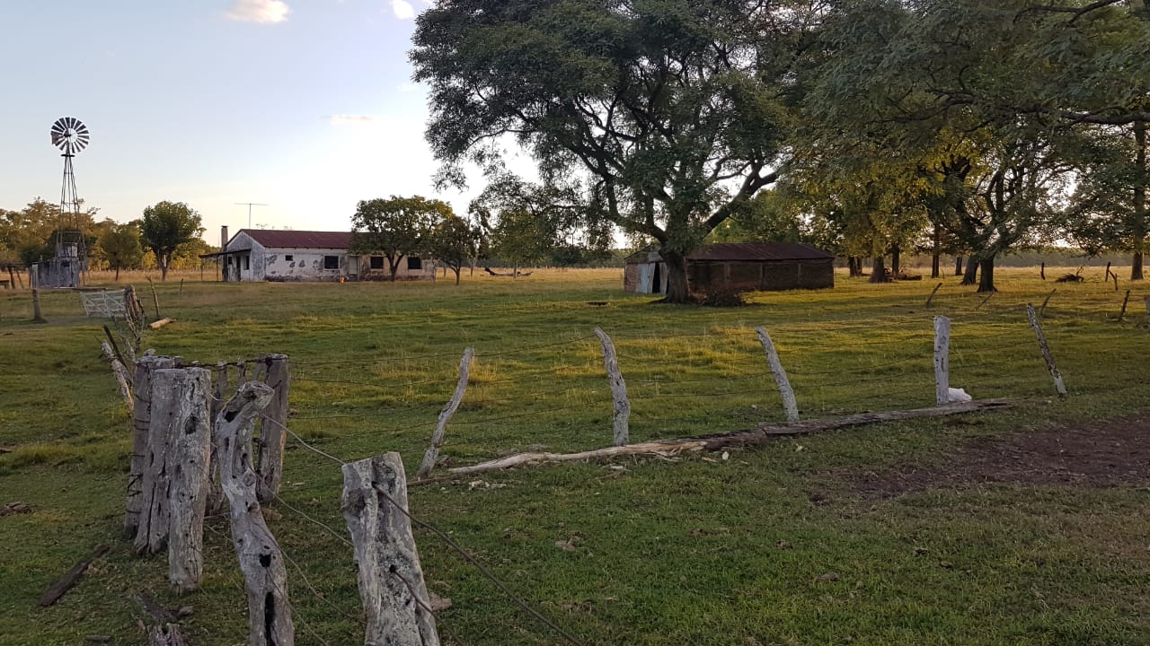 CAMPO