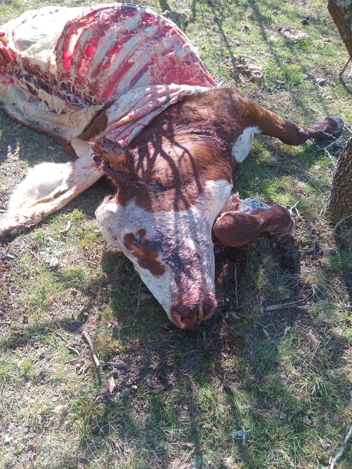 CUATRERISMO RUTA 48 2025 2.jpg