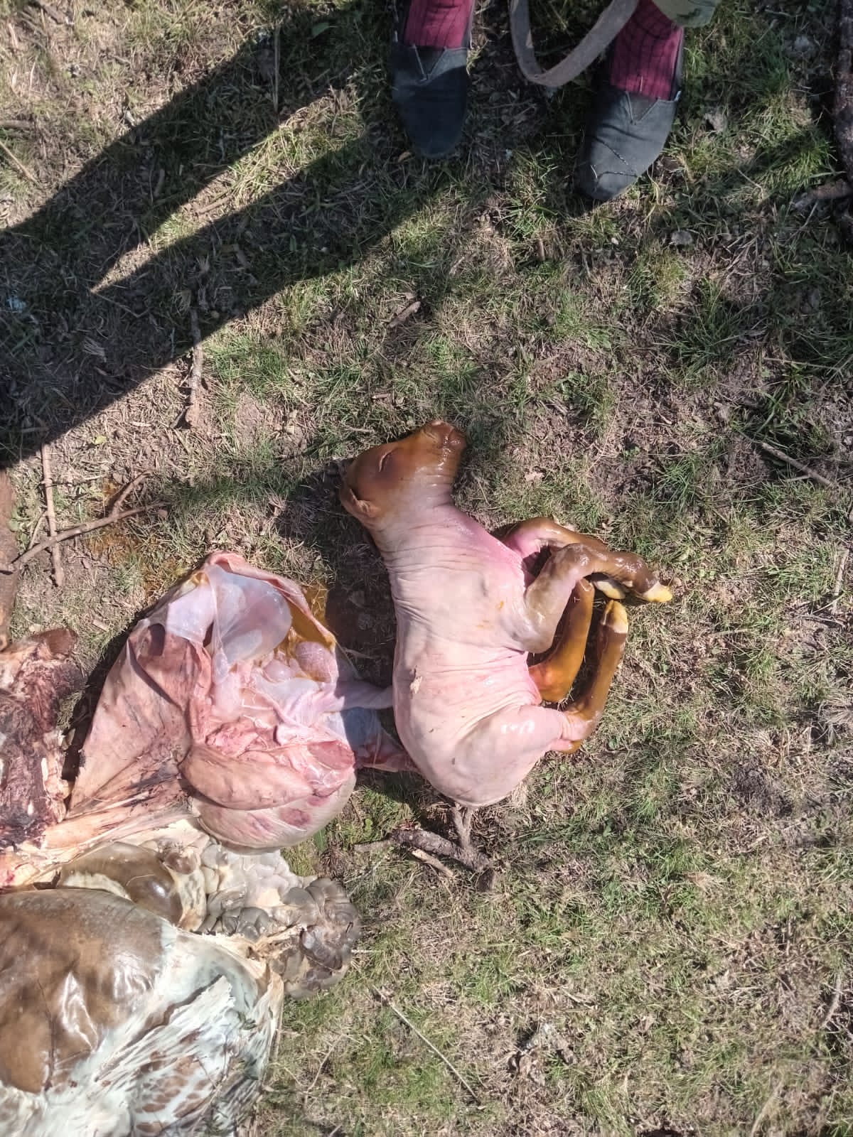 CUATRERISMO RUTA 48 2025 3.jpg