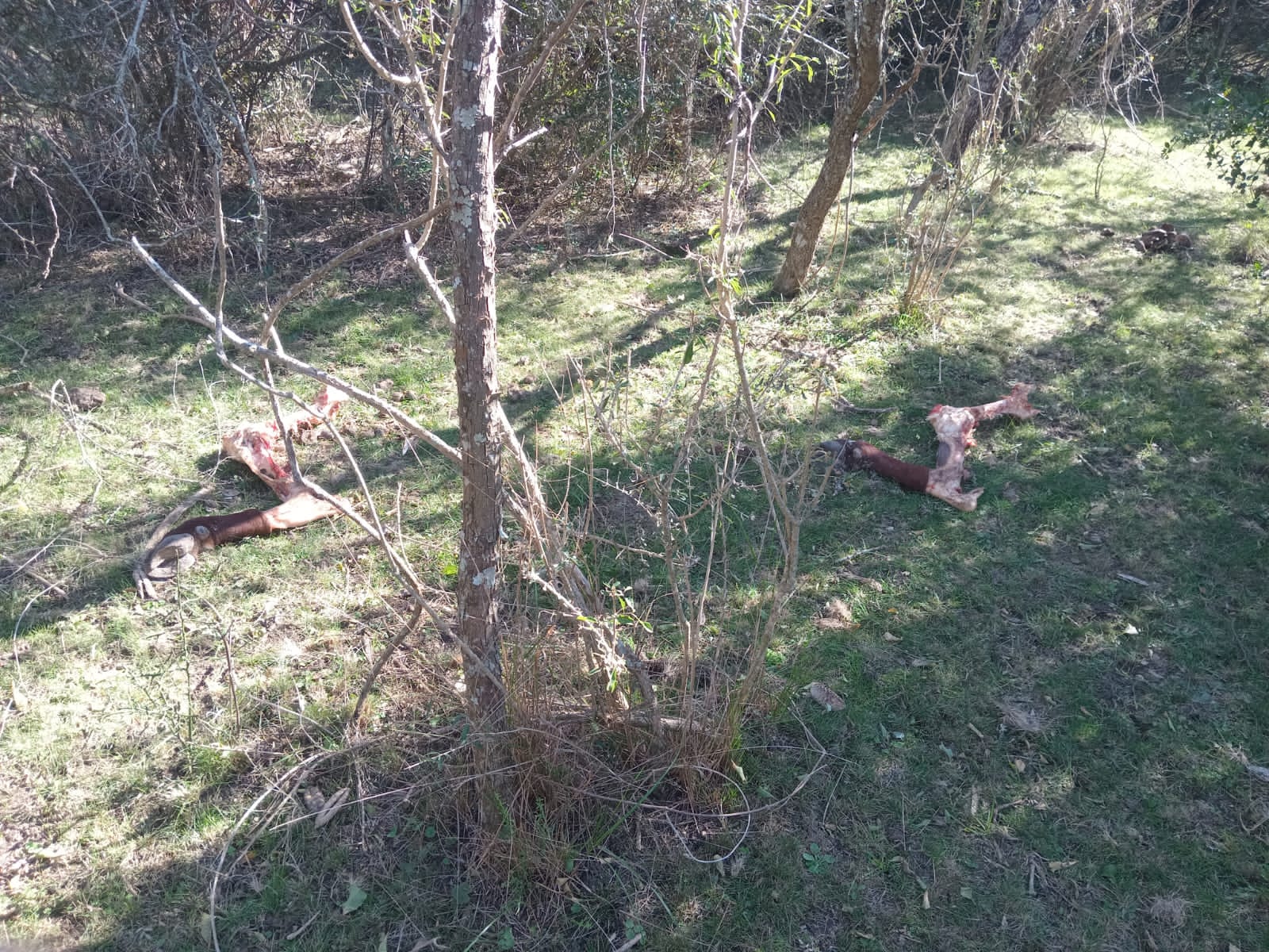 CUATRERISMO RUTA 48 2025 4.jpg