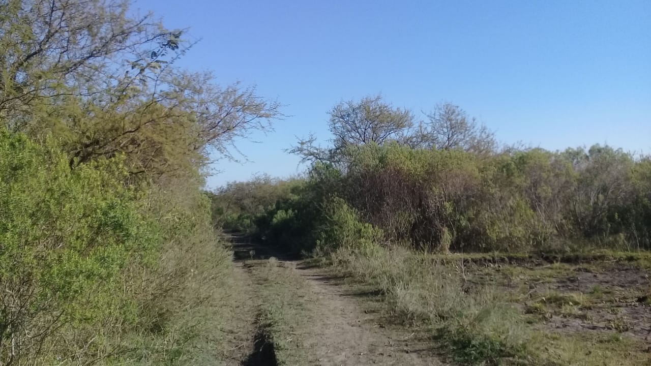 CaminoCampoLaPazBusquedaJuanRivero