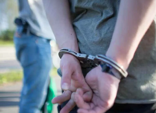 La Reforma Penal Juvenil frente a la evidencia