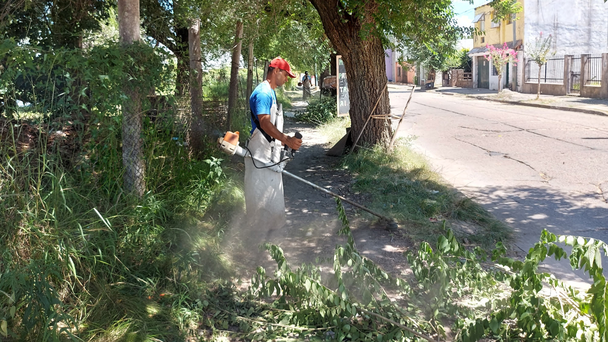 Desmalezado