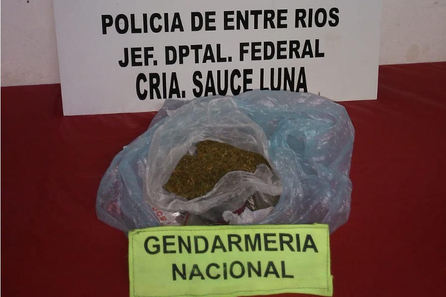 DrogaarihuanaSaucedeluna