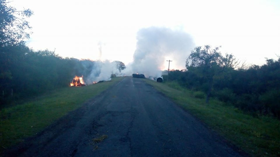 Incendio bovril ruta 2