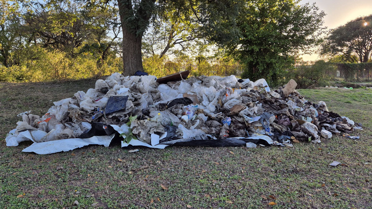 Limpieza la paz basura