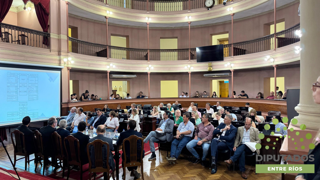 PRESUPUESTO LEGISLADORES 2024