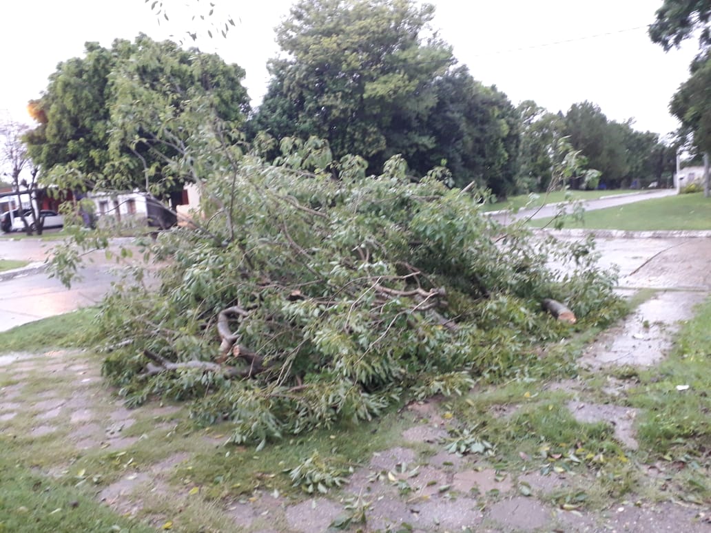 WhatsApp Image 2022 03 07 at 09.26.45 1