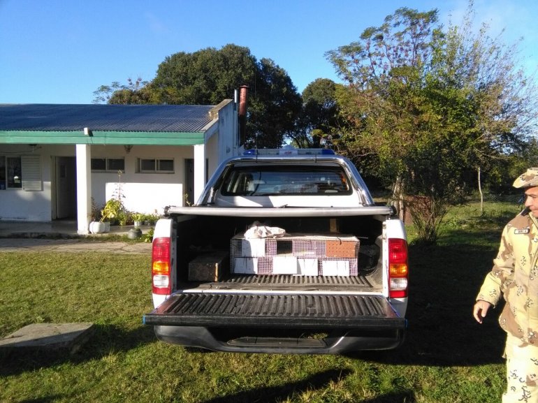 alumnos escuela la paz aves policia 4