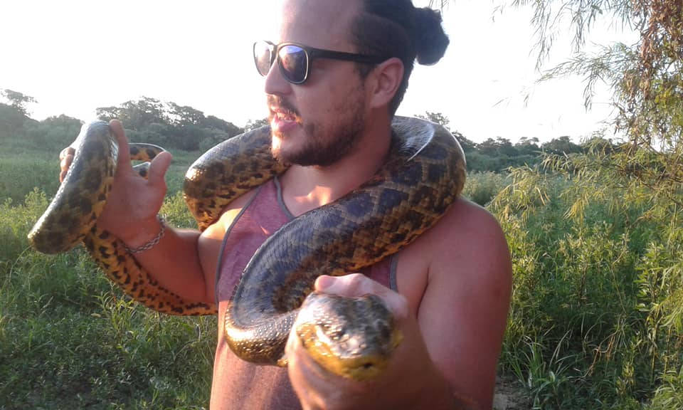 anaconda amarilla la paz 5