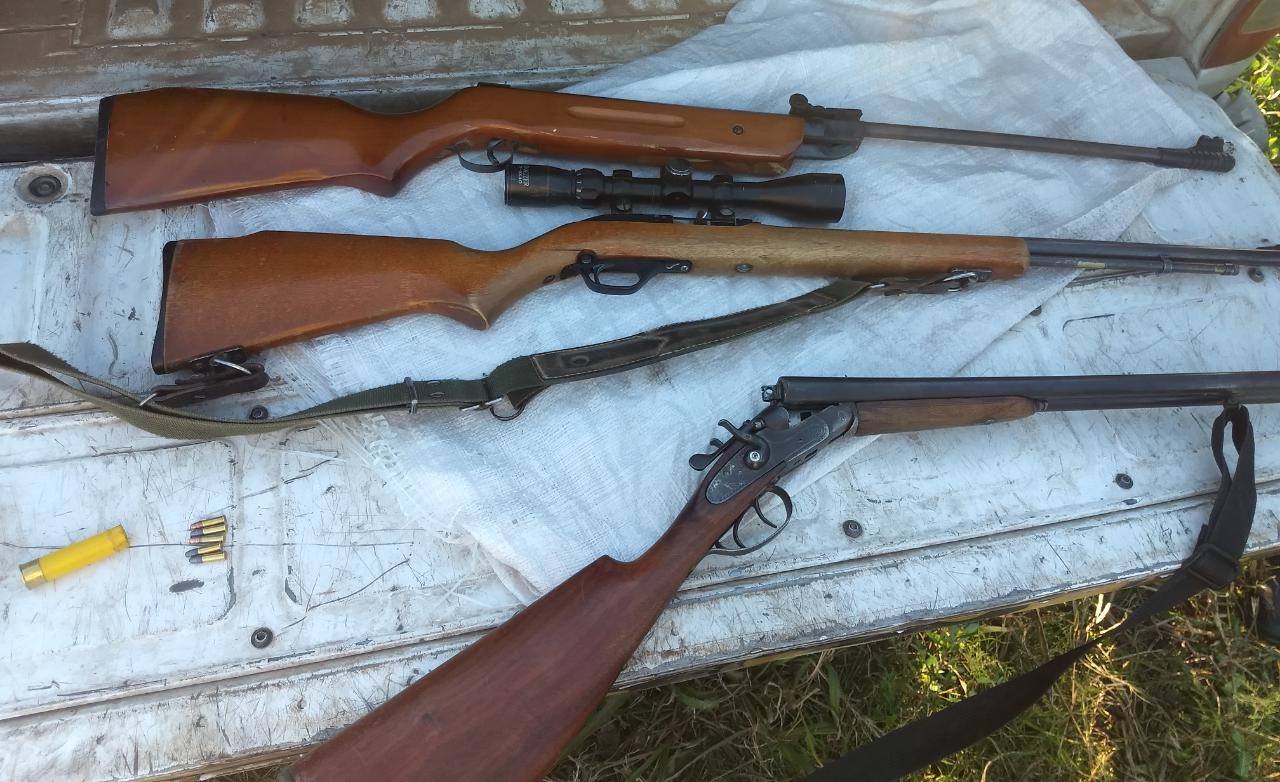 armas abigeato 2 567