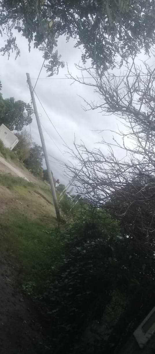 asistencia arboles ciclon santa elena 2