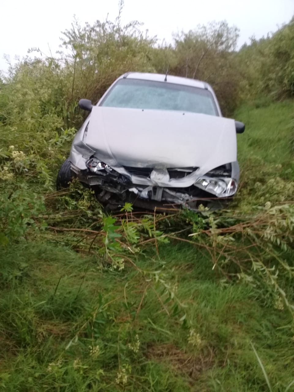 c188ece7 7ace 4c45 9659 870fd20dd569