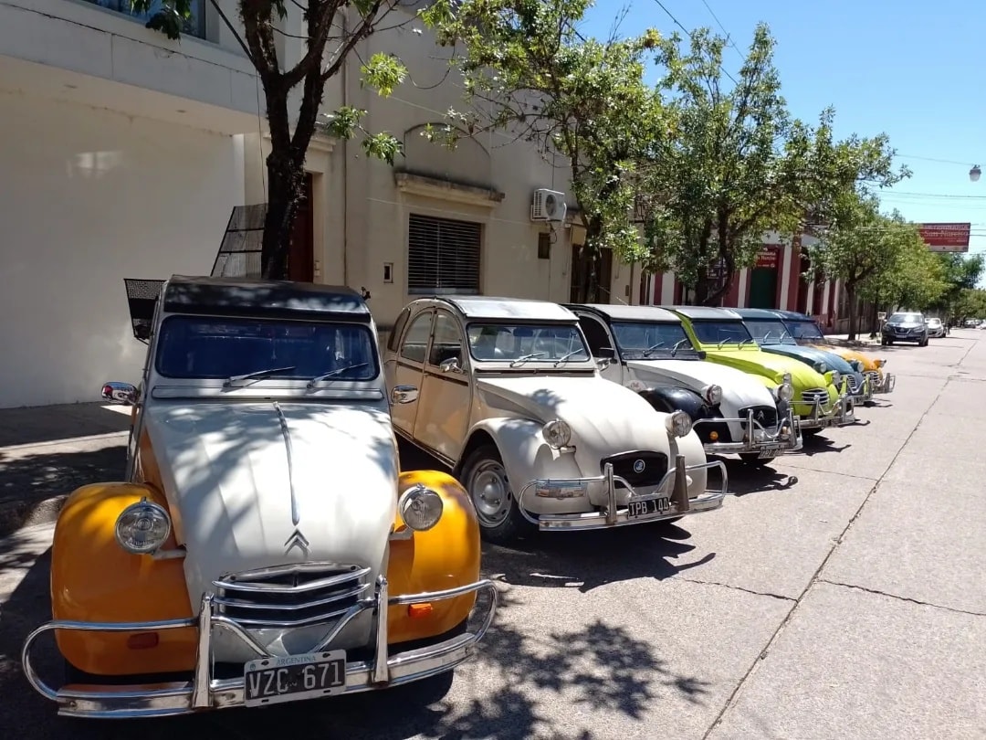 citroneros la paz 2.jpg