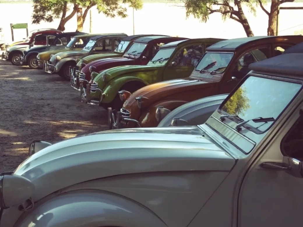 citroneros la paz 3.jpg