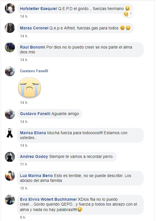 conmocion bonomi 12 B