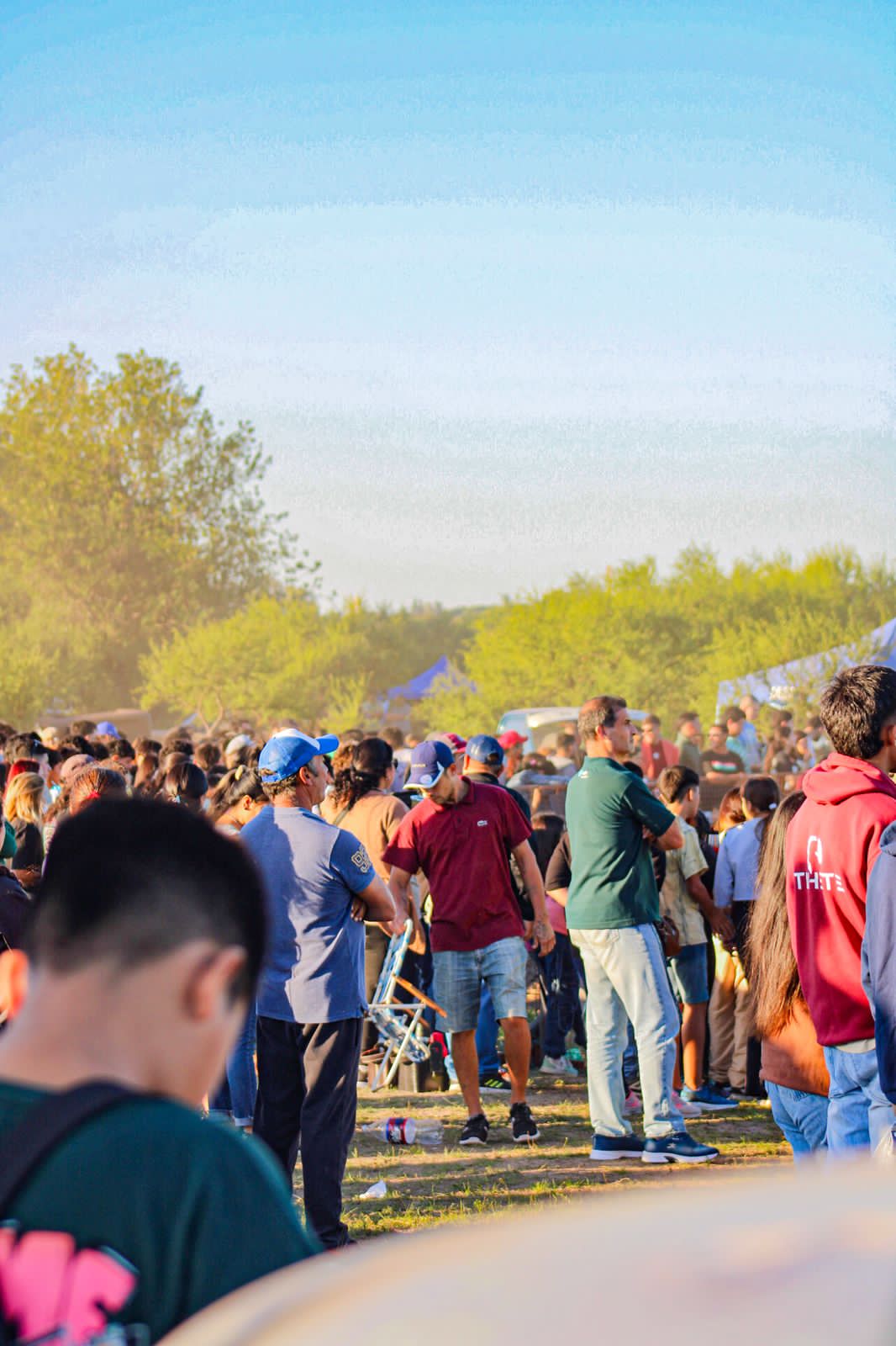 d2b46452-f7f8-4e9b-8d74-d4b1df2899b8.jpg