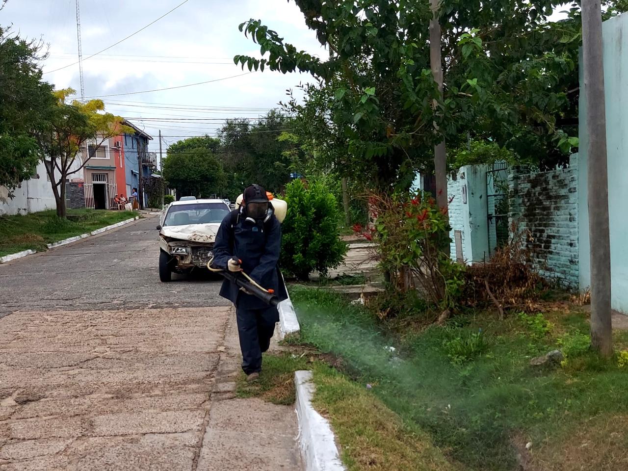 dengue 2024 fumigacion.jpg