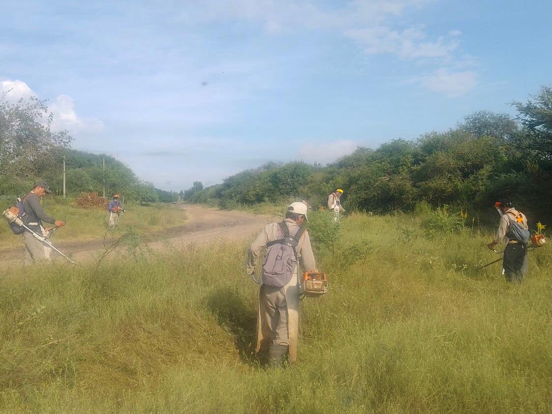 dengue 2024 fumigacion 3.jpg