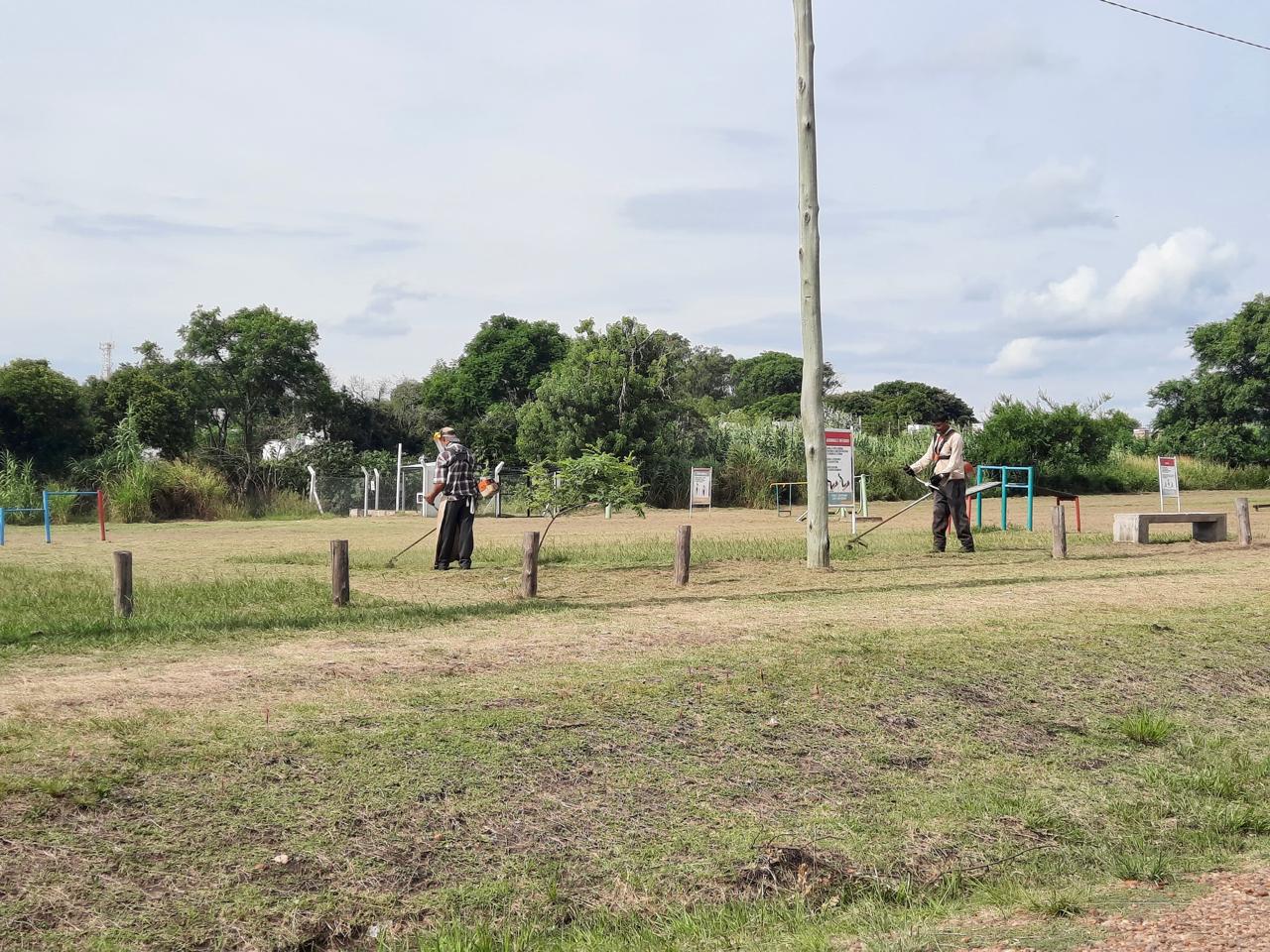 dengue 2024 fumigacion 4.jpg