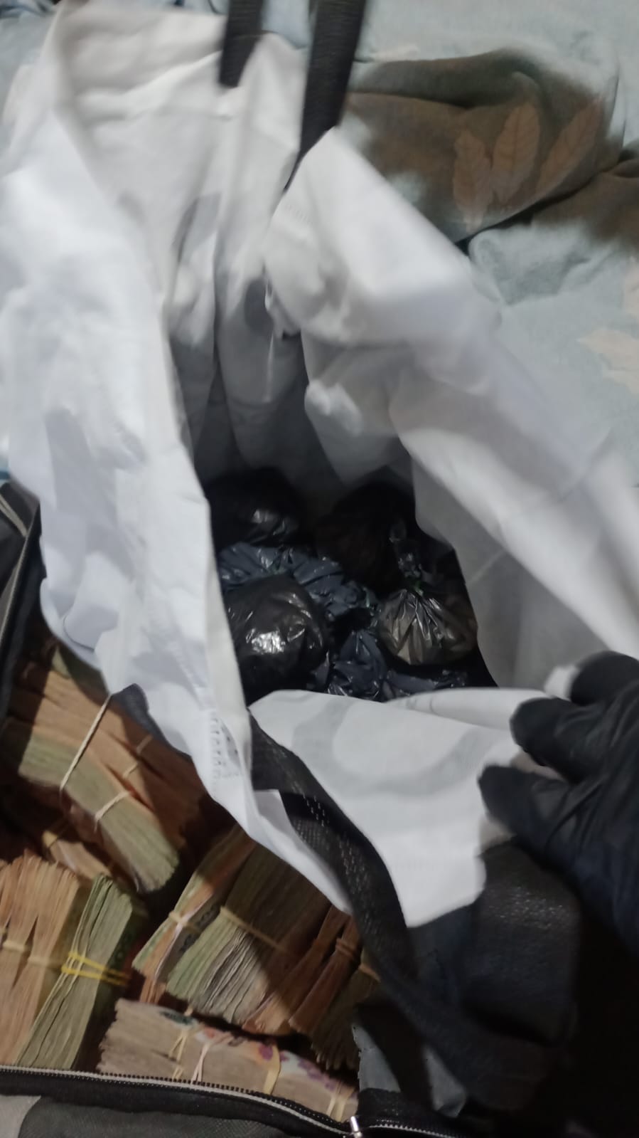 eb9bf663 7908 4269 9e03 37bce9000496