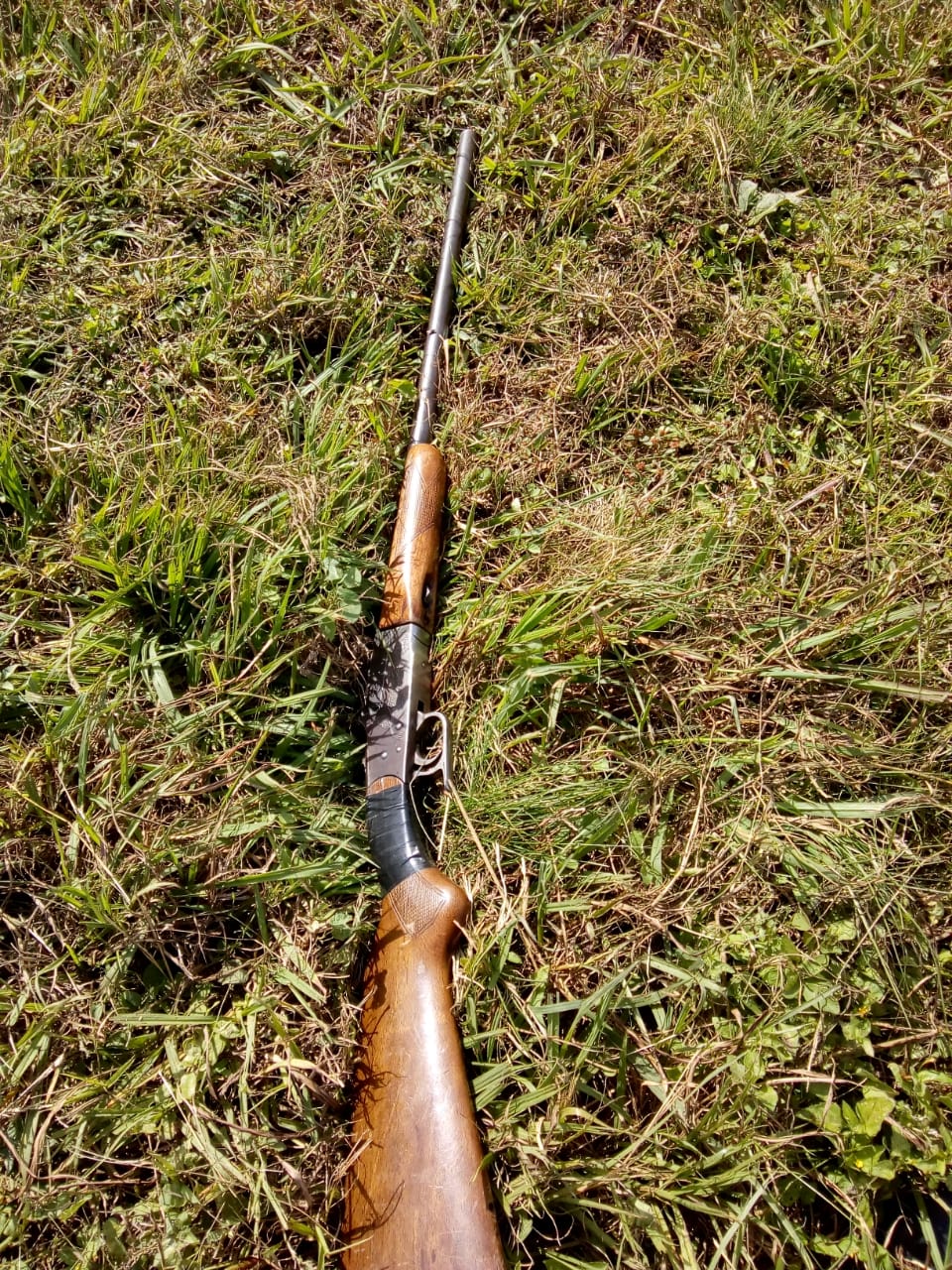 escopeta 56