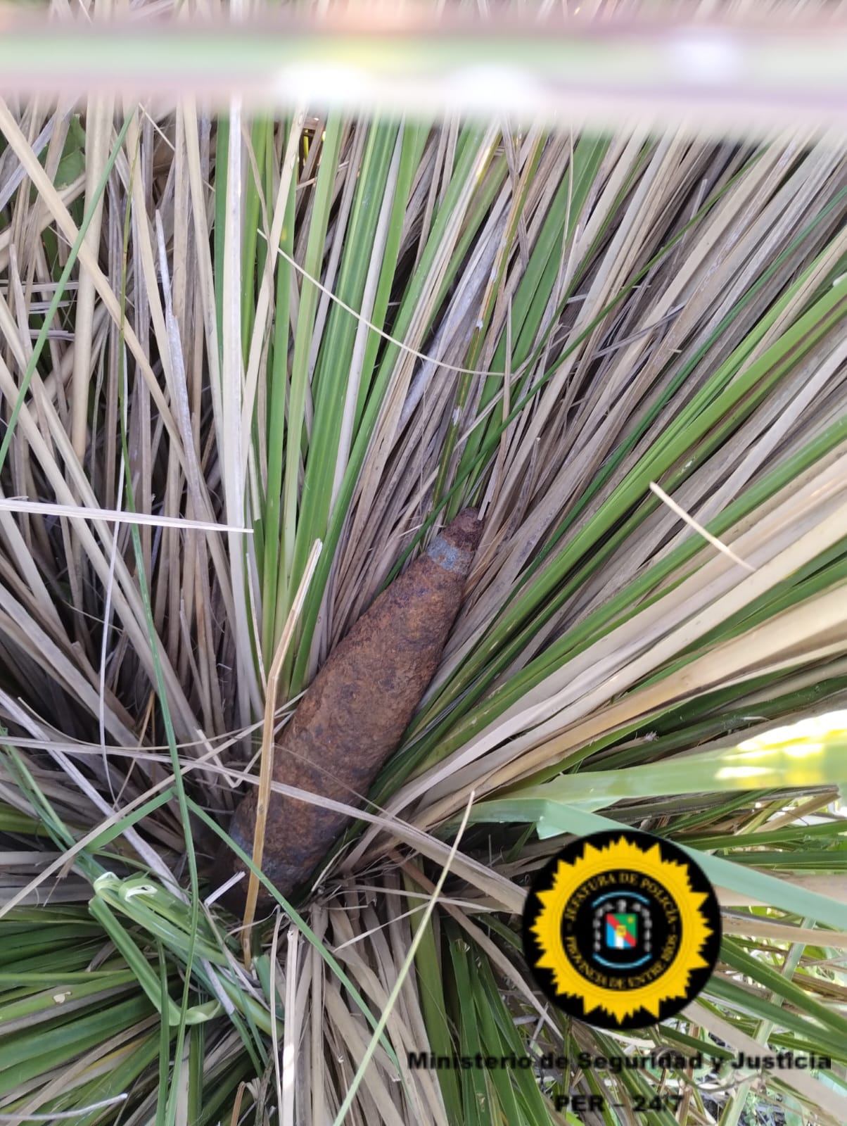 explosivo detonacion 2025 23.jpg