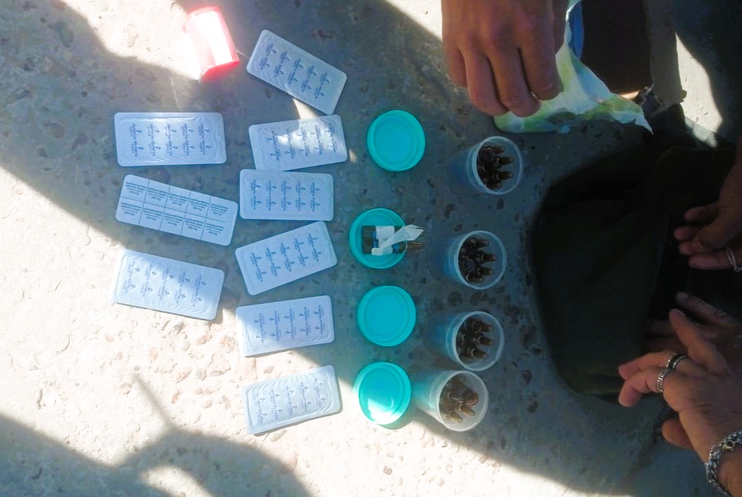 fentanilo 2