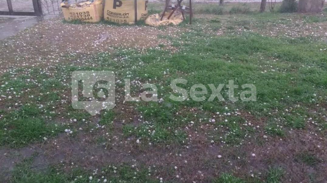 granizo bovril 9 result