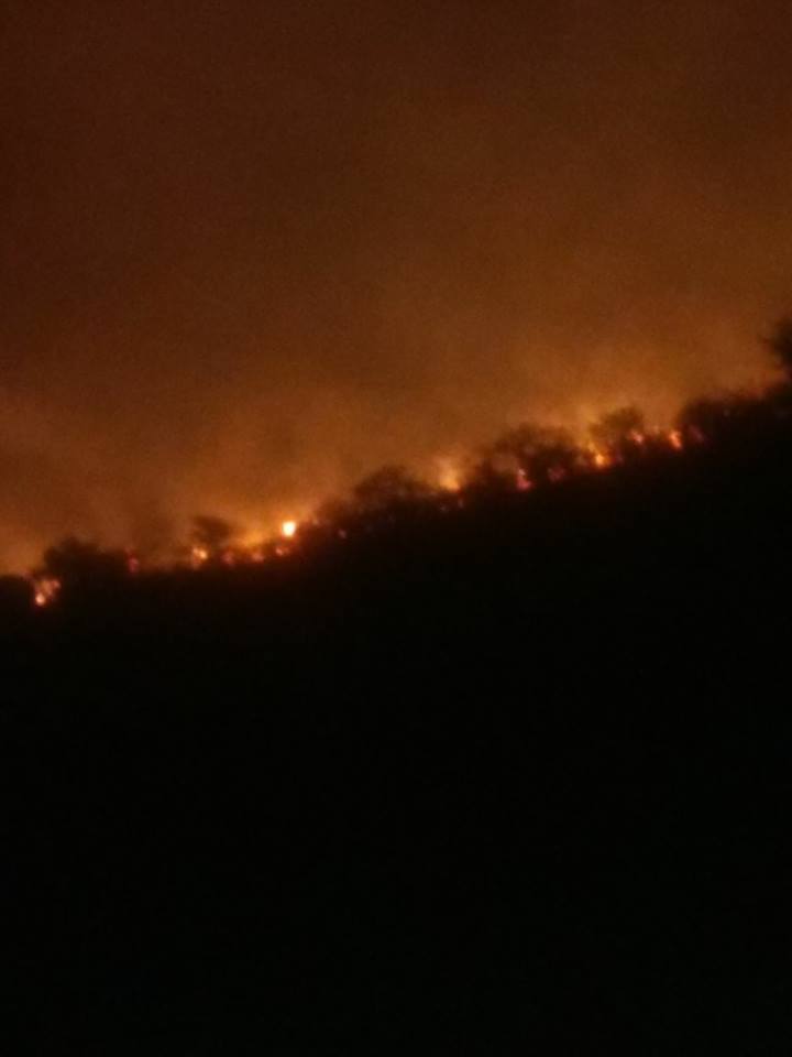 incendio cavalleri