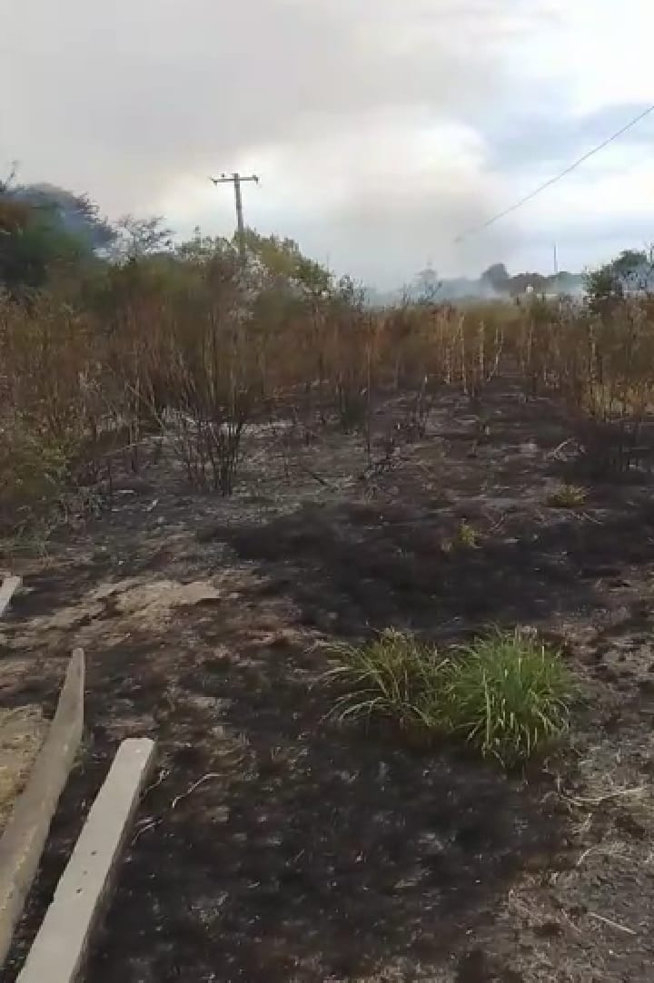 incendio postes luz celp.jpg