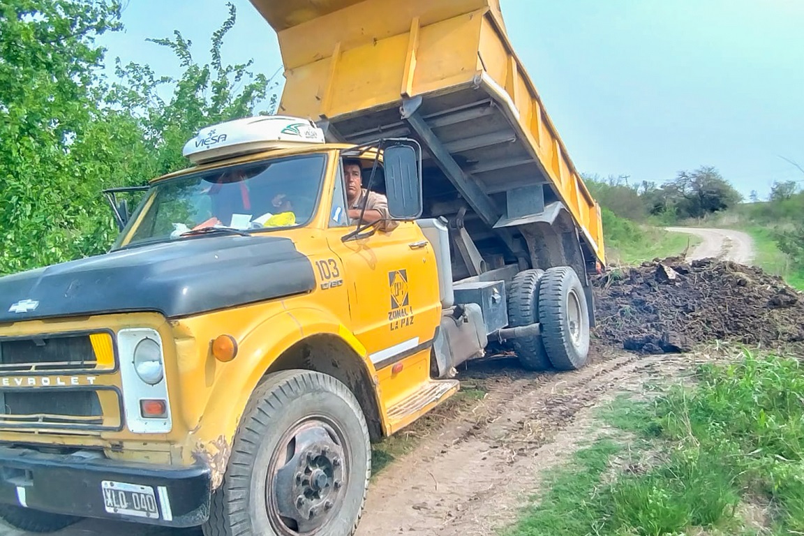 ombu vialidad 23.jpg