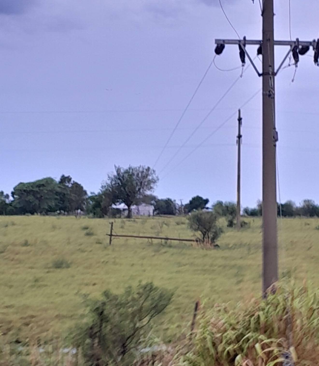 postes caidos febrero 2026 2.jpg