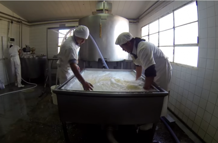 queseria avigdor 759x500