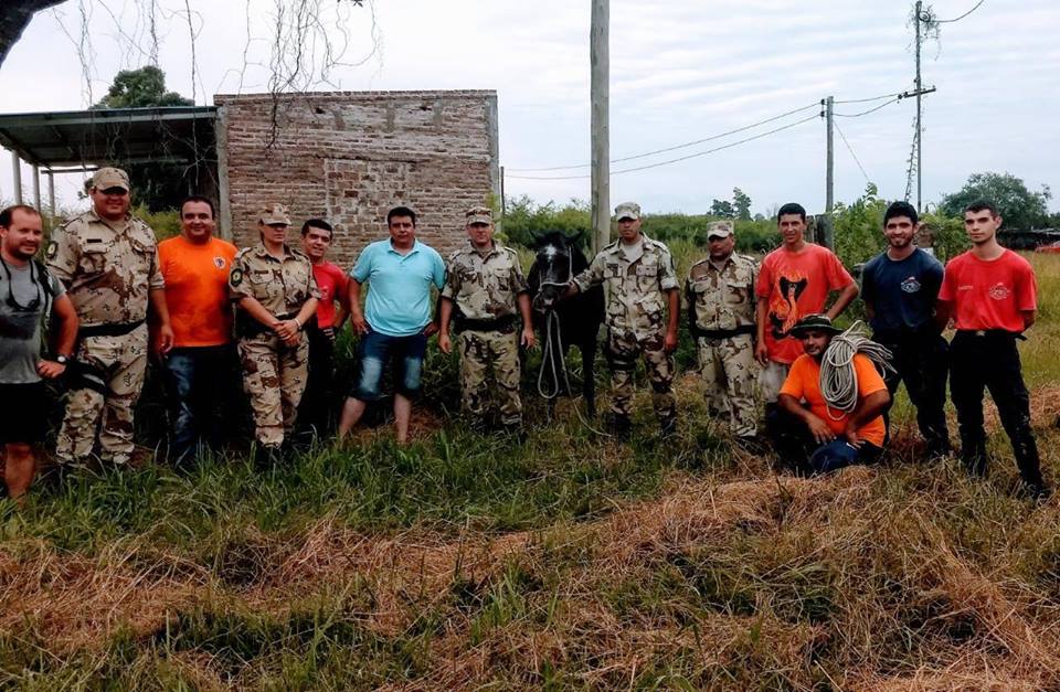 rescate caballo santa elena 1