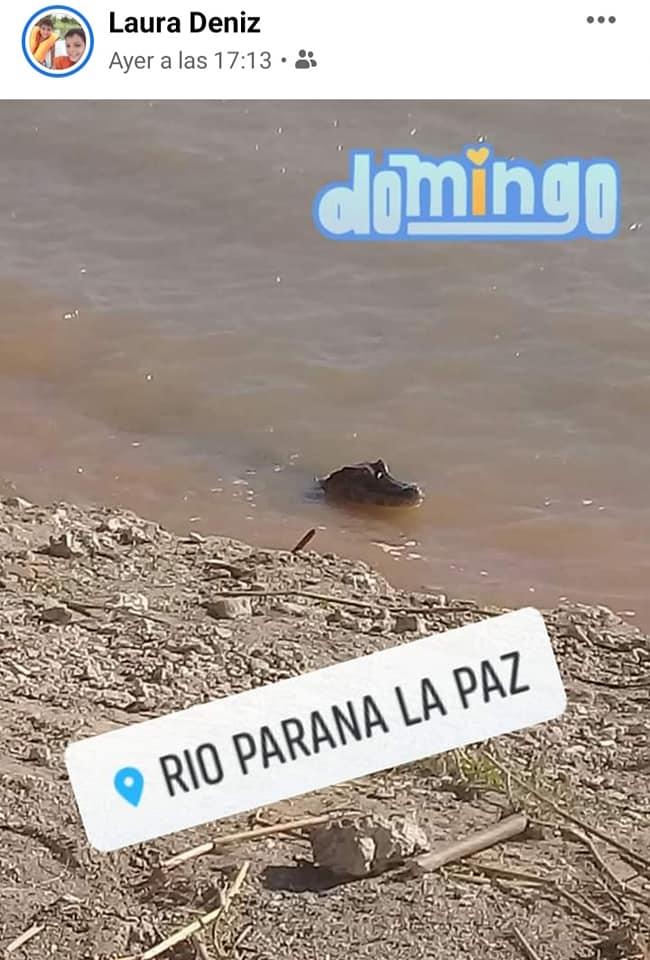 yacare 2 la paz